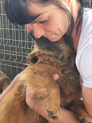 Eine Pflegerin mit dunklen Haaren hält einen brauen Hund in ihren Armen.