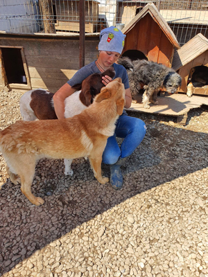 Tocher von Pflegerin hockt mit mehreren Hunden in einem Shelter. Sie trägt eine graue Mütze mit Stickern und hält einem Hund sanft seine Schnauze.