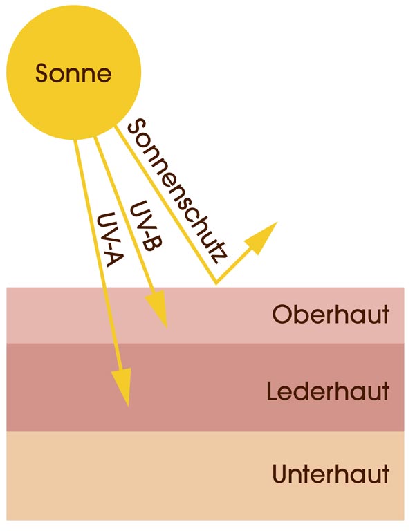 Zeichnung, wie die UV-Strahlung der Sonne auf die Haut wirkt. UV-A dringt tief in die Lederhaut, UV-B dringt in die Oberhaut. Mit Sonnenschutz prallt die Strahlung an der Hautoberfläche ab