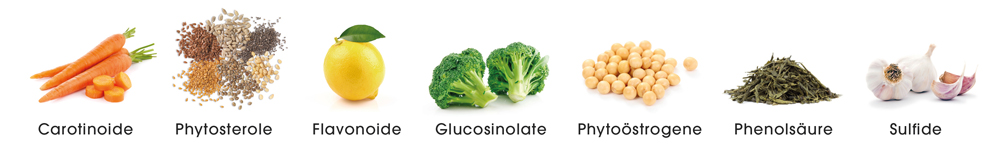 Lebensmittel mit sekundären Pflanzenstoffen wie Carotinoide, Phytosterole, Flavonoide, Glucosinolate, Phytoöstrogene, Phenolsäure, Sulfide