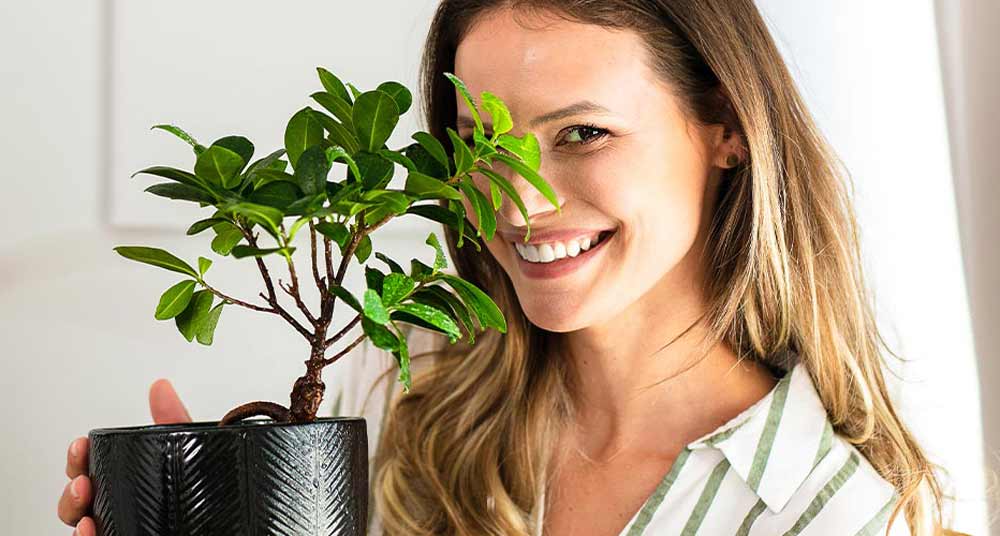 Eine freundlich lächelnde hübsche junge Frau hält einen Blumentopf mit einer grünen Pflanze in ihrer Hand und halb vor ihrem Gesicht.