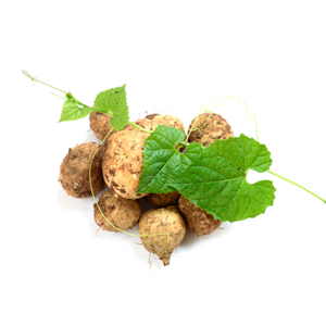 Yamswurzel, Dioscorea Villosa Extract